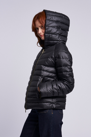 497HD Hooded down jacket  Special $275